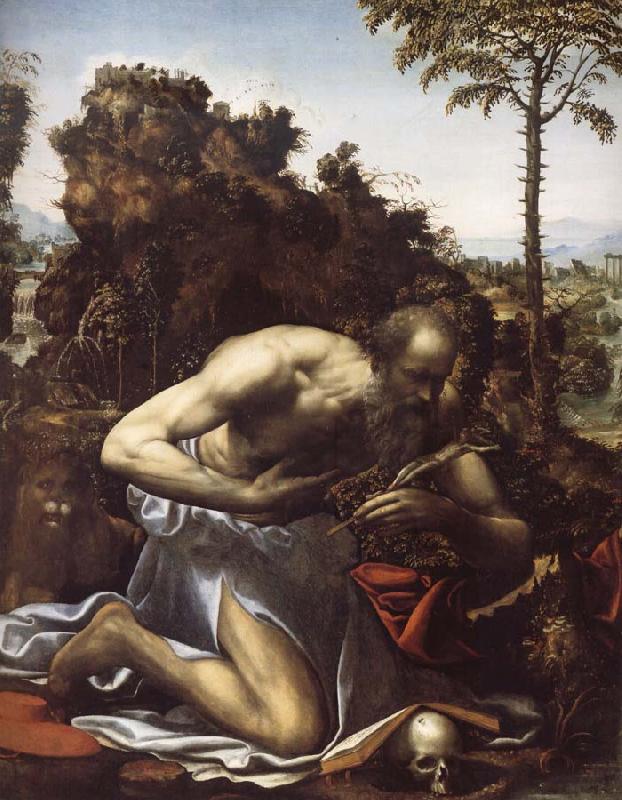 SODOMA, Il Saint Jerome in Penitence oil painting picture
